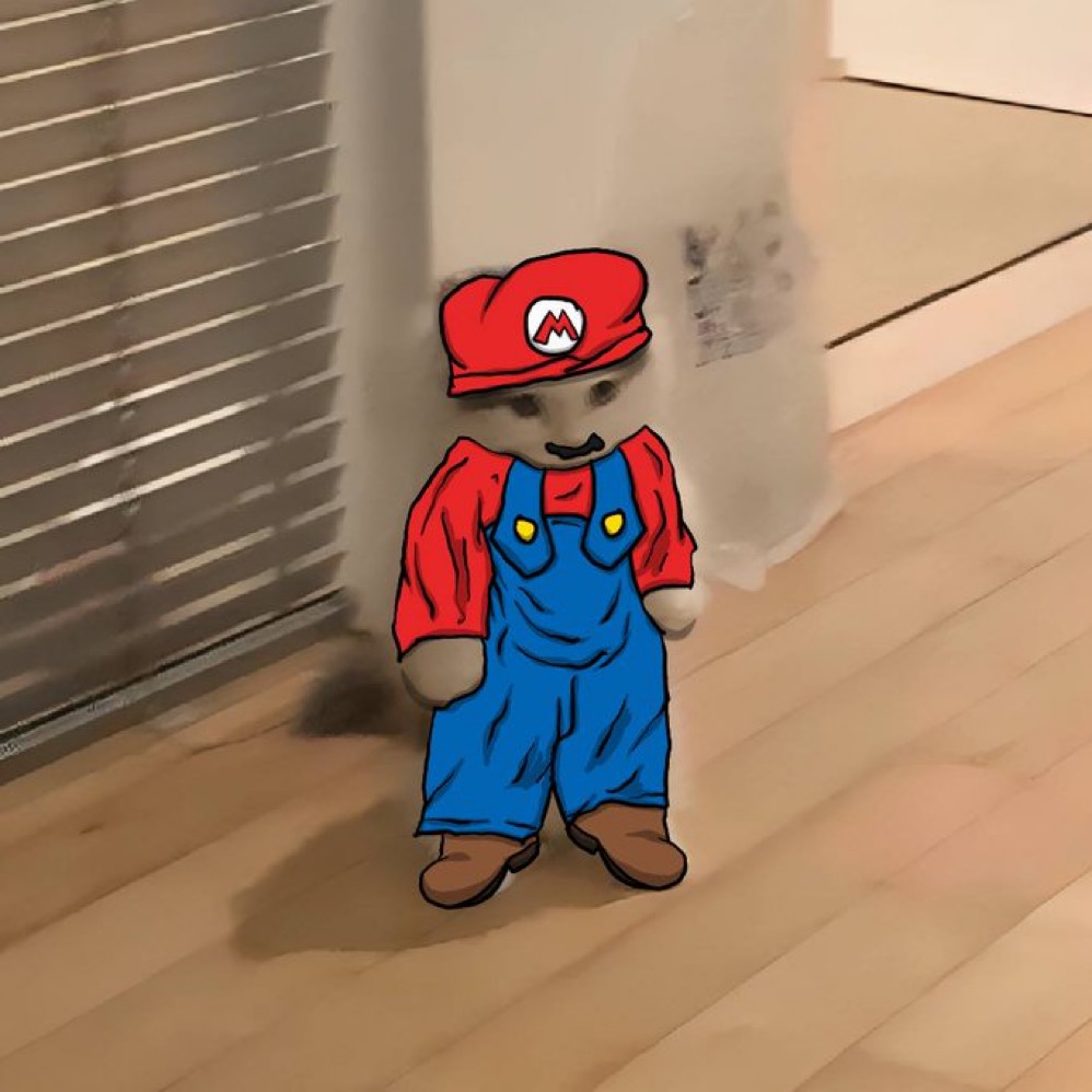 Michi Runner