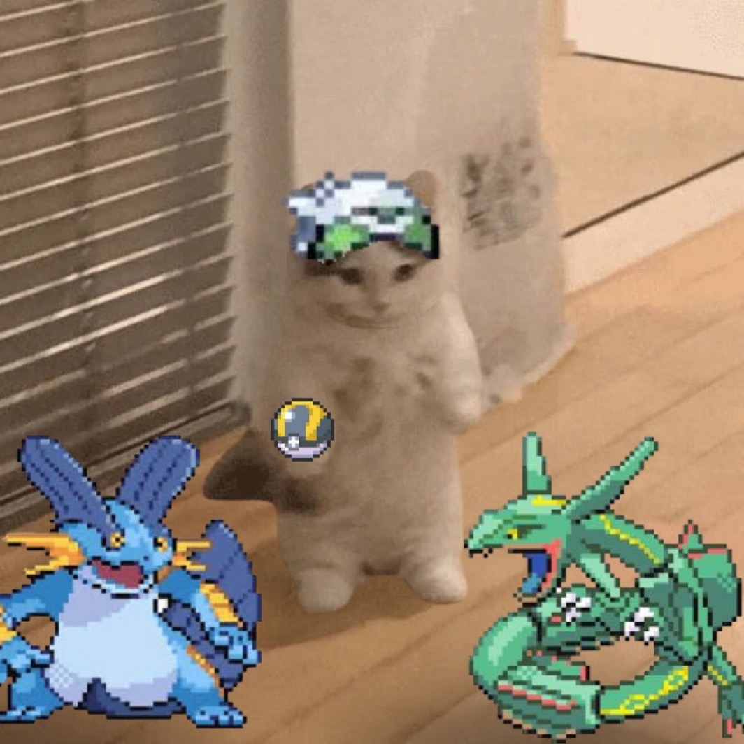 Your Rival