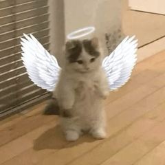 Saint Michi, the Arch Angel